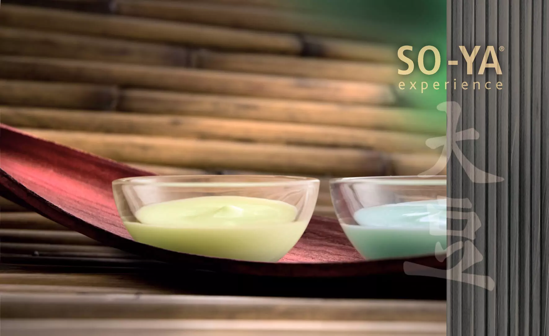 So-Ya Experience 1 immagine soya experience 1